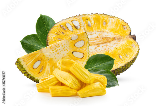 Jackfruit  on white background photo