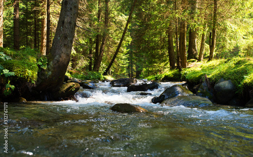 river in the forest in summer time