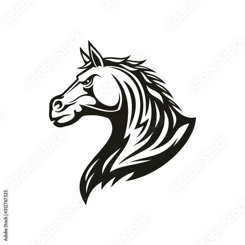 Black horse head profile view isolated mane. Vector purebred stallion side view
