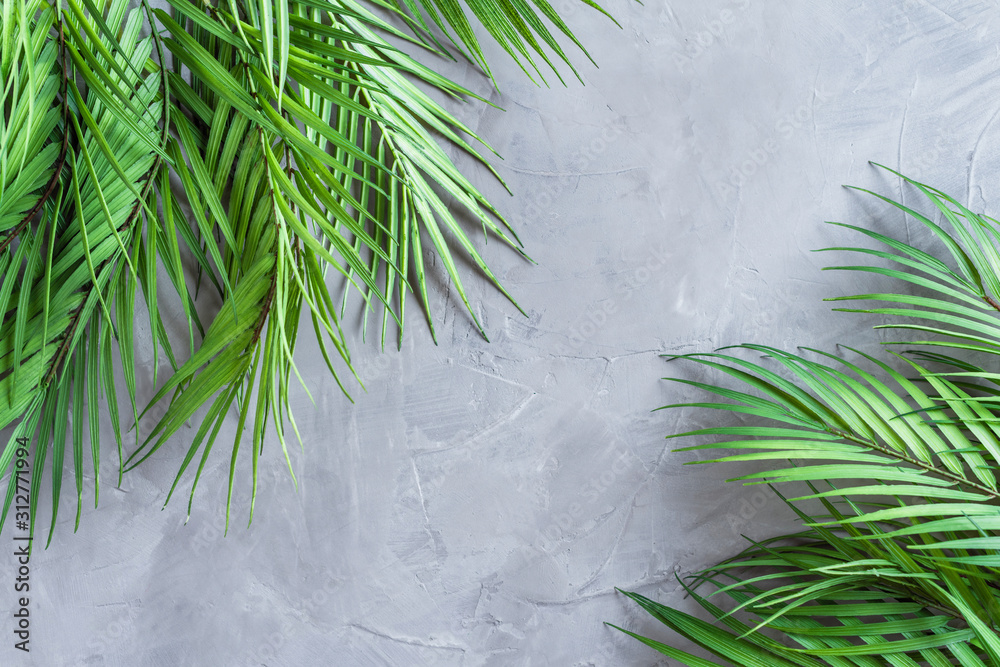 Huge palm leaves on a grey concrete wall background.