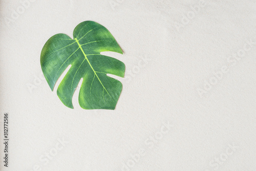 coconut palm branches and leaves on a grey concrete wall background.