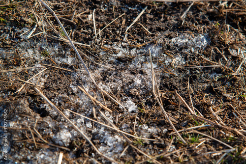 霜柱の地面 © yui_yakushiji