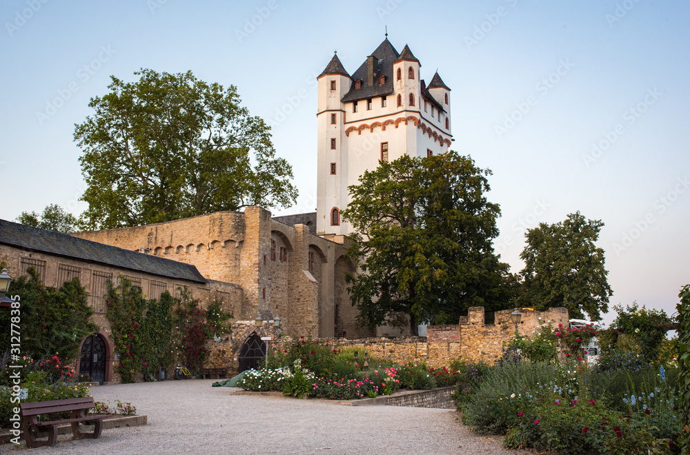Fototapeta premium medievel castle of Eltville and blooming garden