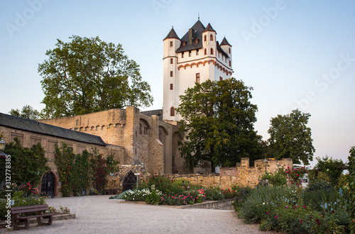 medievel castle of Eltville and blooming garden photo