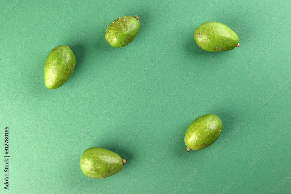 Spondias mombin yellow mombin hog plum fruit Spondias mombin yellow mombin hog plum fruit