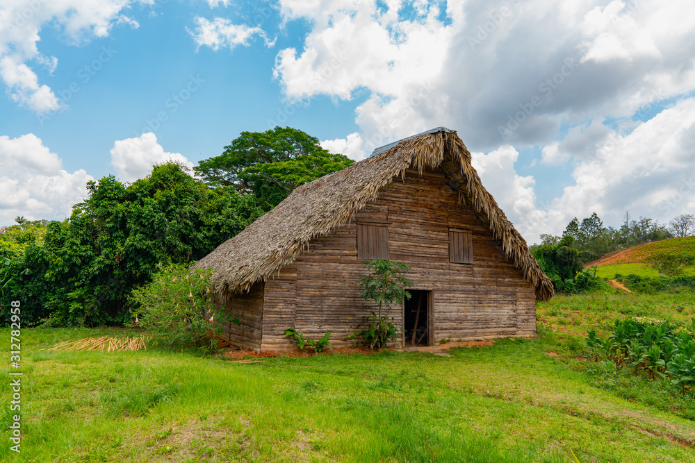 Tobacco shed or barn for drying tobacco leaves in Cuba Tobacco shed or barn for drying tobacco leaves in Cuba