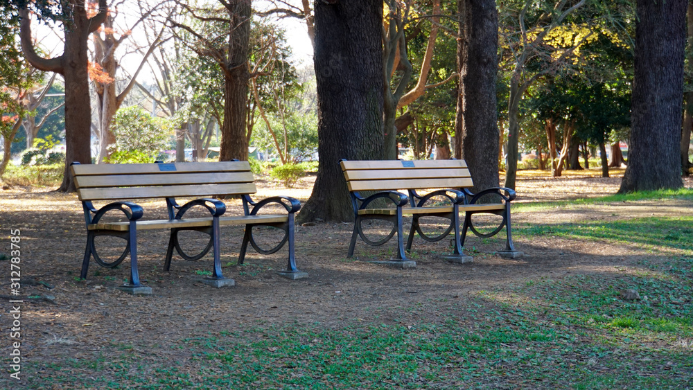 公園に２つ並んだベンチ