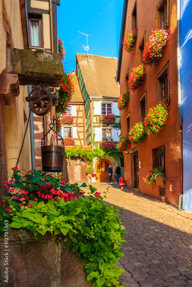 Fototapeta ALSACE WINE REGION, FRANCE - SEP 19, 2019: Street with typical houses in Riquewihr picturesque village which is located on Alsatian Wine Route, France.
