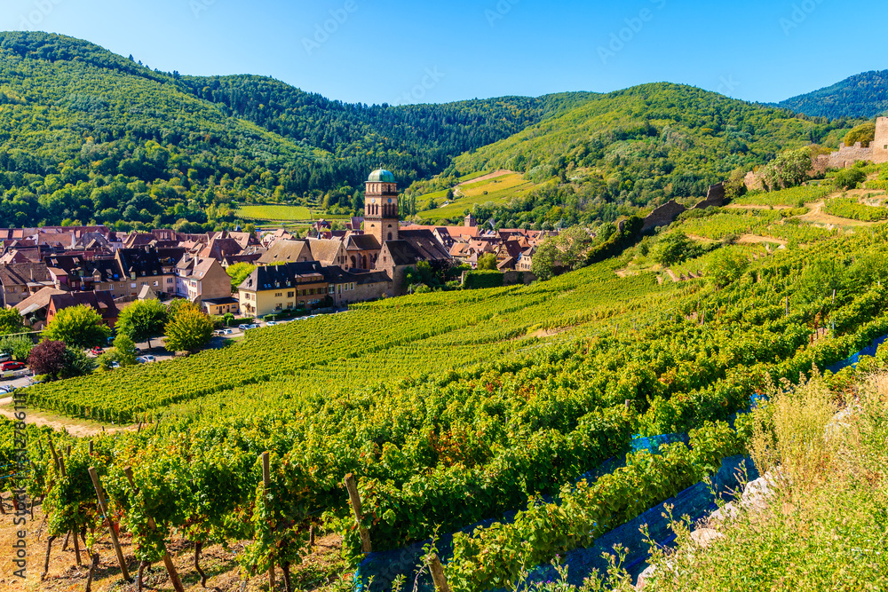 Green vineyards and view of Kayserberg medieval village on Alsatian Wine Route, France