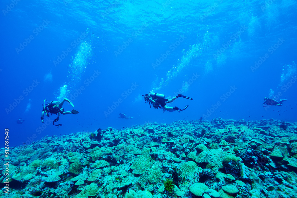 Drift diving_1 Drift diving_1