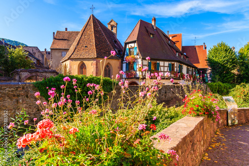 Beautiful traditional colorful houses decorated with flowers in picturesque Kaysersberg village  Alsace wine region  France