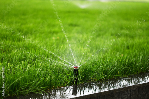water sprinkler on green grass