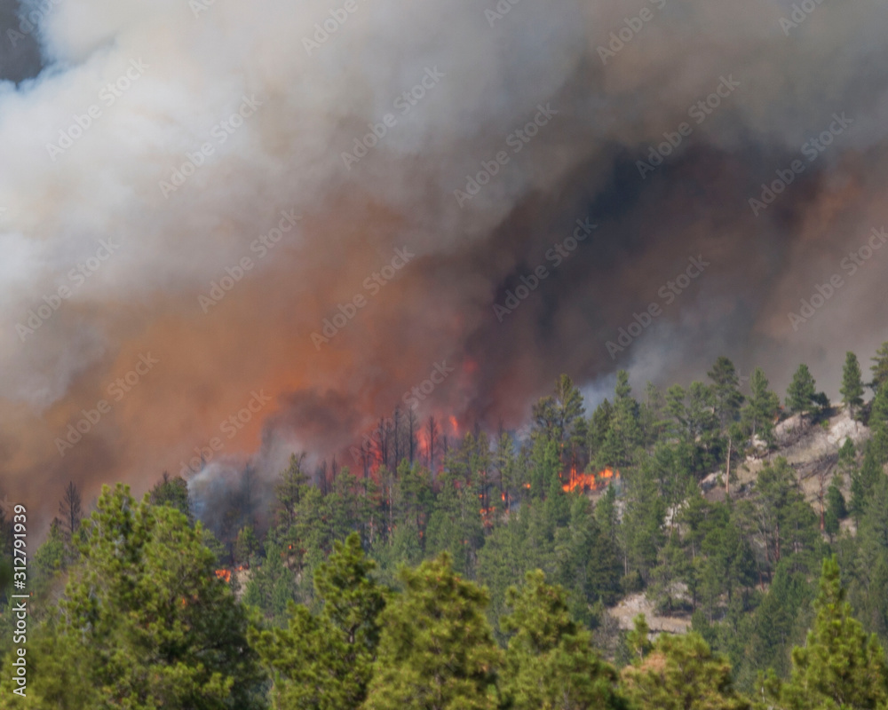 Fototapeta premium North Hills Fire 2019