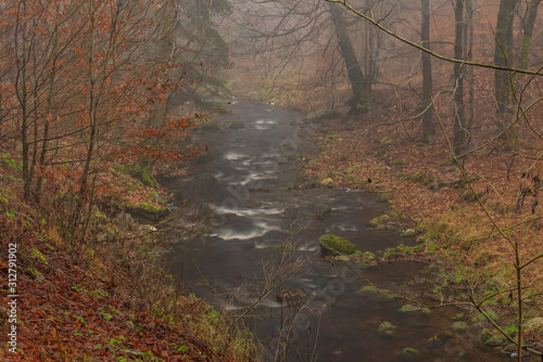 Chomutovka river near Chomutov town in winter color misty morning photo