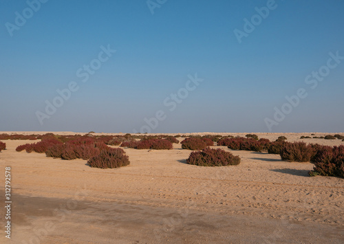 Views around Hawar Island in the Arabian Gulf, Bahrain