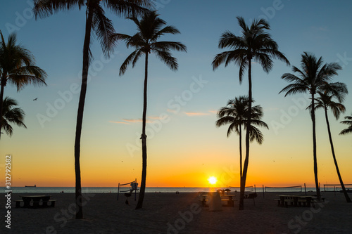 Dramatic Golden sunrise under the palm tree on New years day 2020