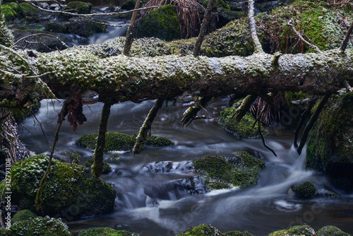 Photography waterfall in the forest, beautiful, sweden, sverige,nacka, stockholm