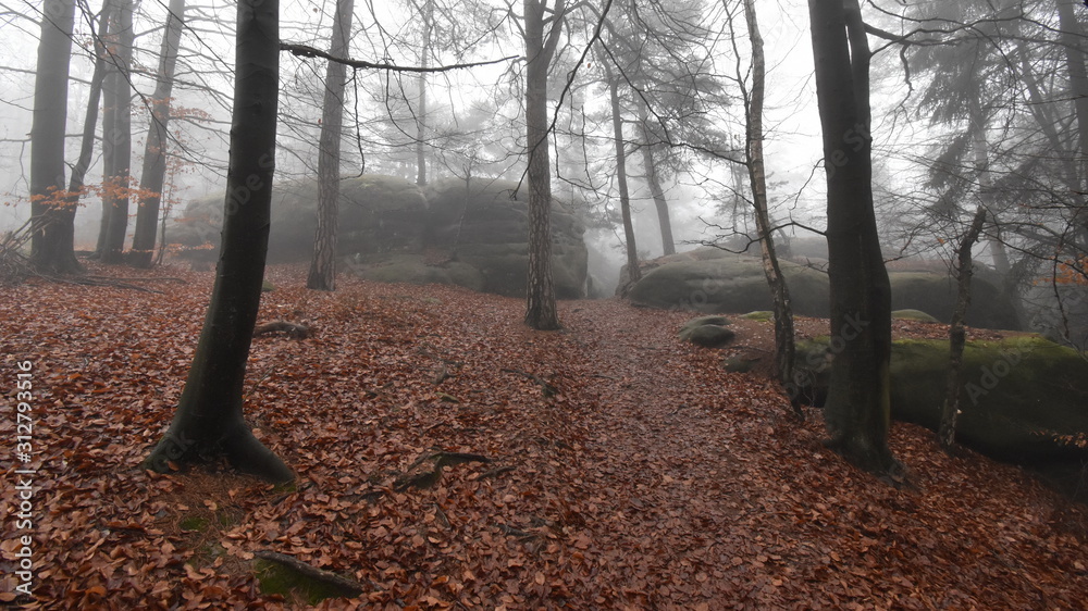Obraz premium Stone in the Bohemian paradise in winter, Besedicke skaly, Mala skala, Czech republic