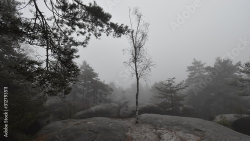 Stone in the Bohemian paradise in winter, Besedicke skaly, Mala skala, Czech republic photo