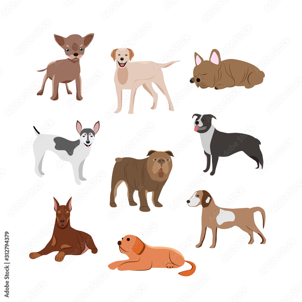Cute dog fashion isolated pets on a white background.They can be used in the brochure, banners, ads.Vector illustration.