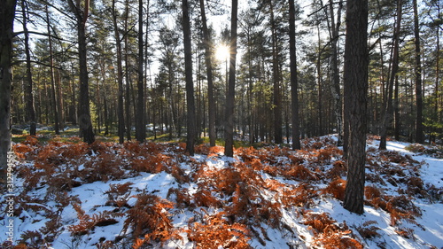 Bohemian paradise in winter, Mala skala, Czech republic