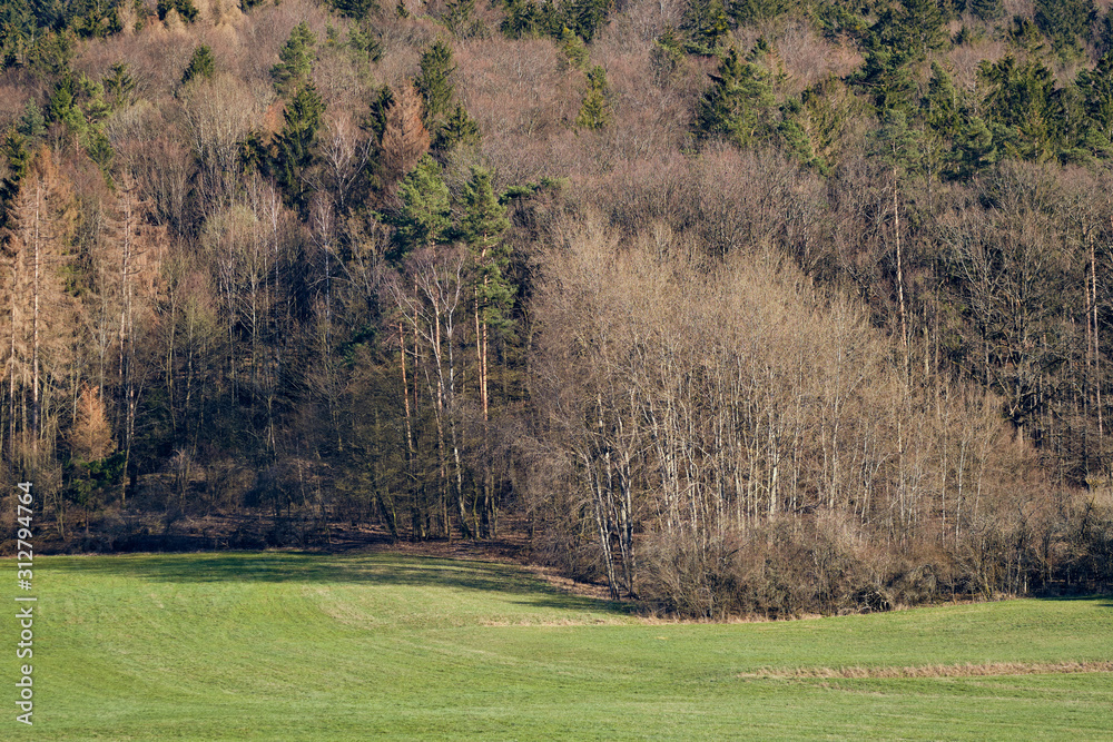 Some properly cut meadow and the forest in the first day of springtime at the foot of the hill called Moritzberg at the village of Haimendorf in Franconia / Bavaria, Germany.