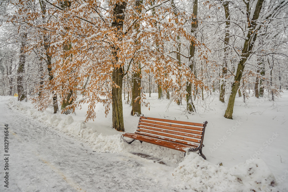 Bench among trees near a yellow tree in a snowy forest