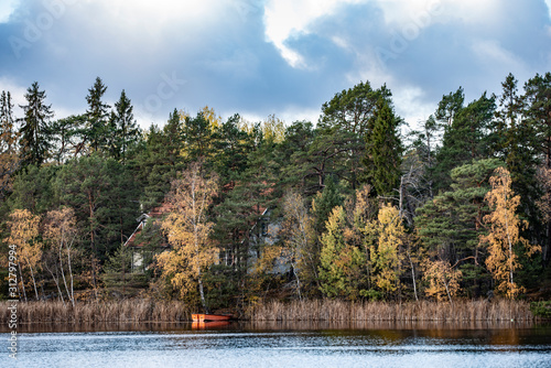 Photography autumn in the park, beautiful, sweden, sverige,nacka, stockholm