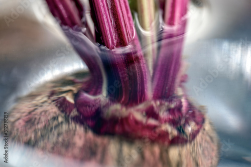 Photography closeup of beetroth, beautiful, sweden, sverige,nacka, stockholm