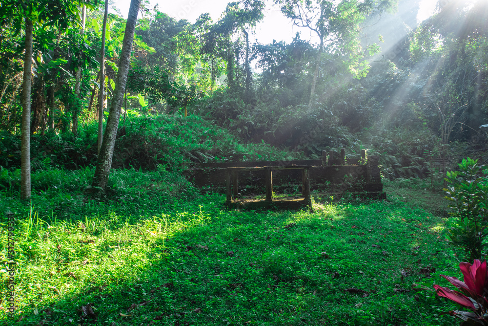 Dilapidated Old Stone Ruins In A Lush Green Forest With Sun Rays In Ubud, Bali, Indonesia Dilapidated Old Stone Ruins In A Lush Green Forest With Sun Rays In Ubud, Bali, Indonesia