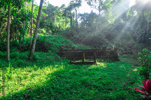 Dilapidated Old Stone Ruins In A Lush Green Forest With Sun Rays In Ubud, Bali, Indonesia 