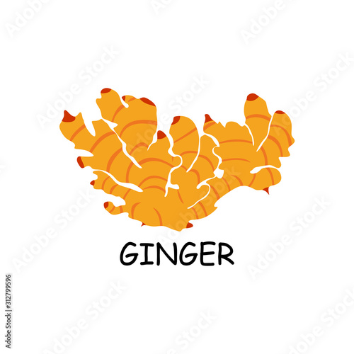 ginger logo, ginger root  logo template - Vector