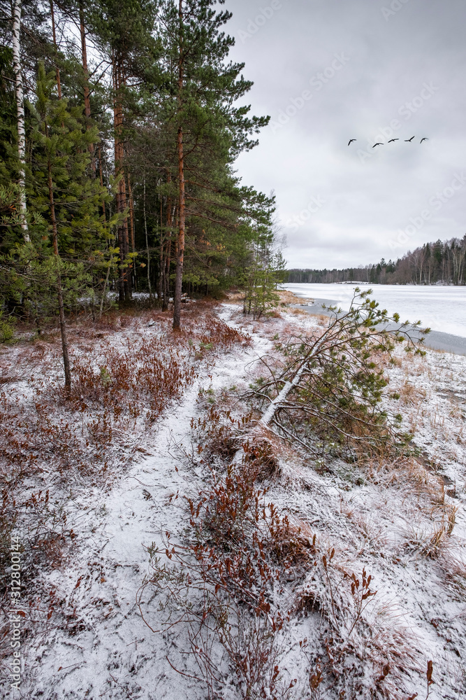 Obraz premium Trail along the shore of a frozen lake near a forest in the snow in winter