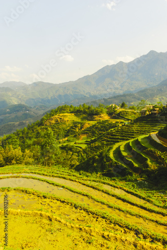 Scenery of Y Linh Ho valley with rice terraces surrounded with mountains by Sapa  Vietnam 