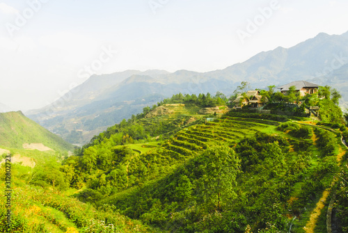 Panoramic view of Y Linh Ho valley with rice terraces surrounded with mountains by Sapa, Vietnam  © Ilona