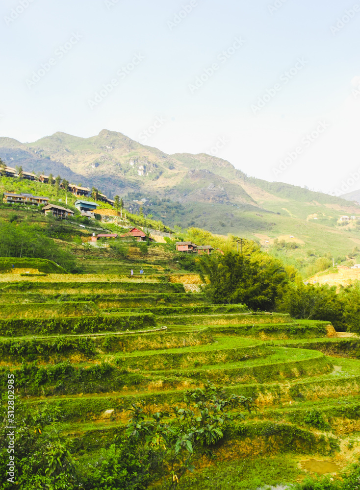 Panorama of Y Linh Ho valley with rice terraces surrounded with mountains by Sapa, Vietnam 