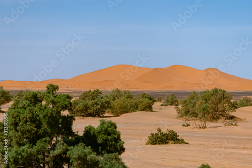 Morocco.  Desert landscape with dunes