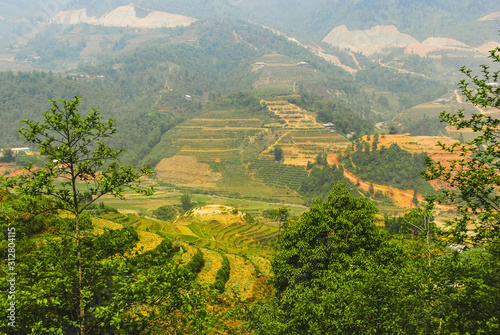 Scenery of valley with rice terraces surrounded with mountains of Sapa  Vietnam 