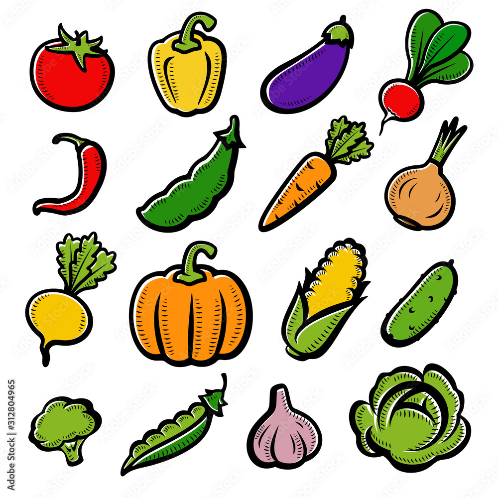 Collection of vegetables set. Vector illustration Collection of vegetables set. Vector illustration
