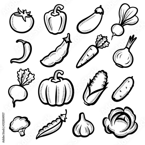 Collection of vegetables set. Vector illustration