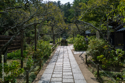 A garden in Kamakura in Japan