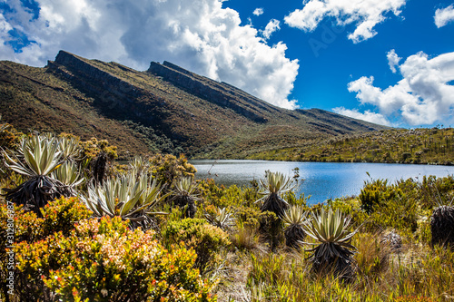 Beautiful landscape of Colombian Andean mountains showing paramo type vegetation in the department of Cundinamarca photo