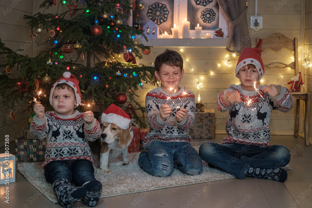three brothers in Santa hats and a Beagle dog light sparklers near the Christmas tree. Concept of family, holiday, Christmas three brothers in Santa hats and a Beagle dog light sparklers near the Christmas tree. Concept of family, holiday, Christmas