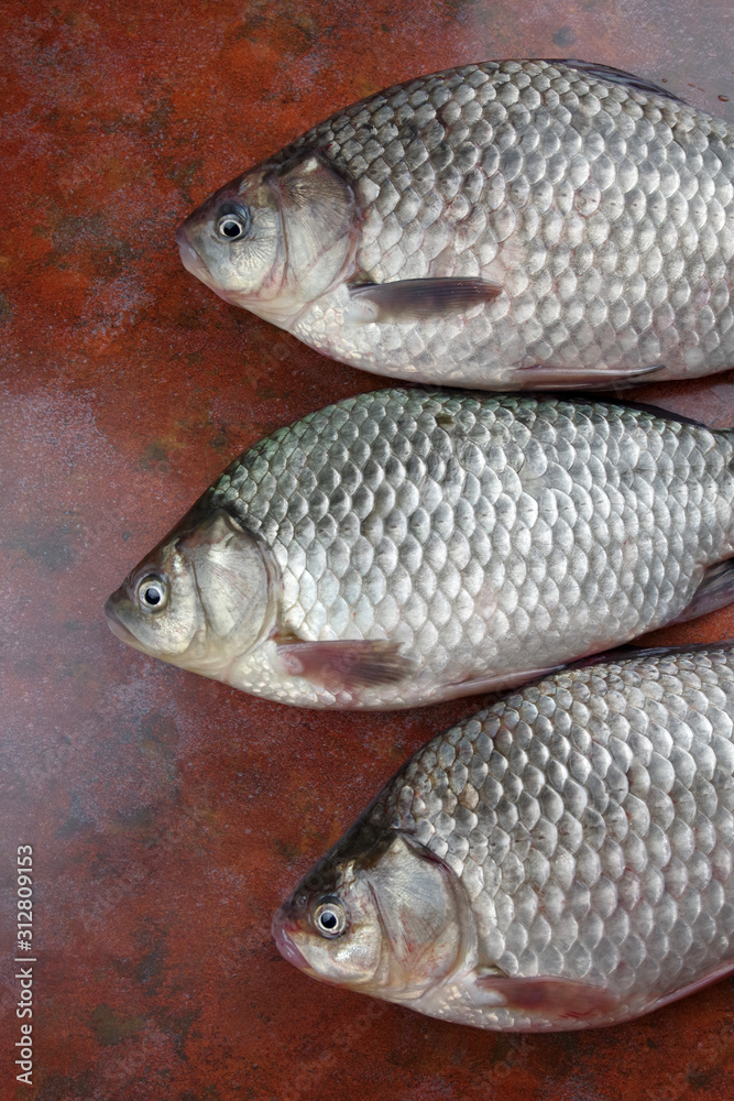 crucian fish lying on the table top view crucian fish lying on the table top view