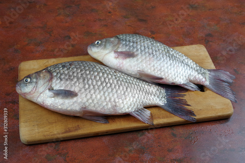crucian fish lying on the table top view
