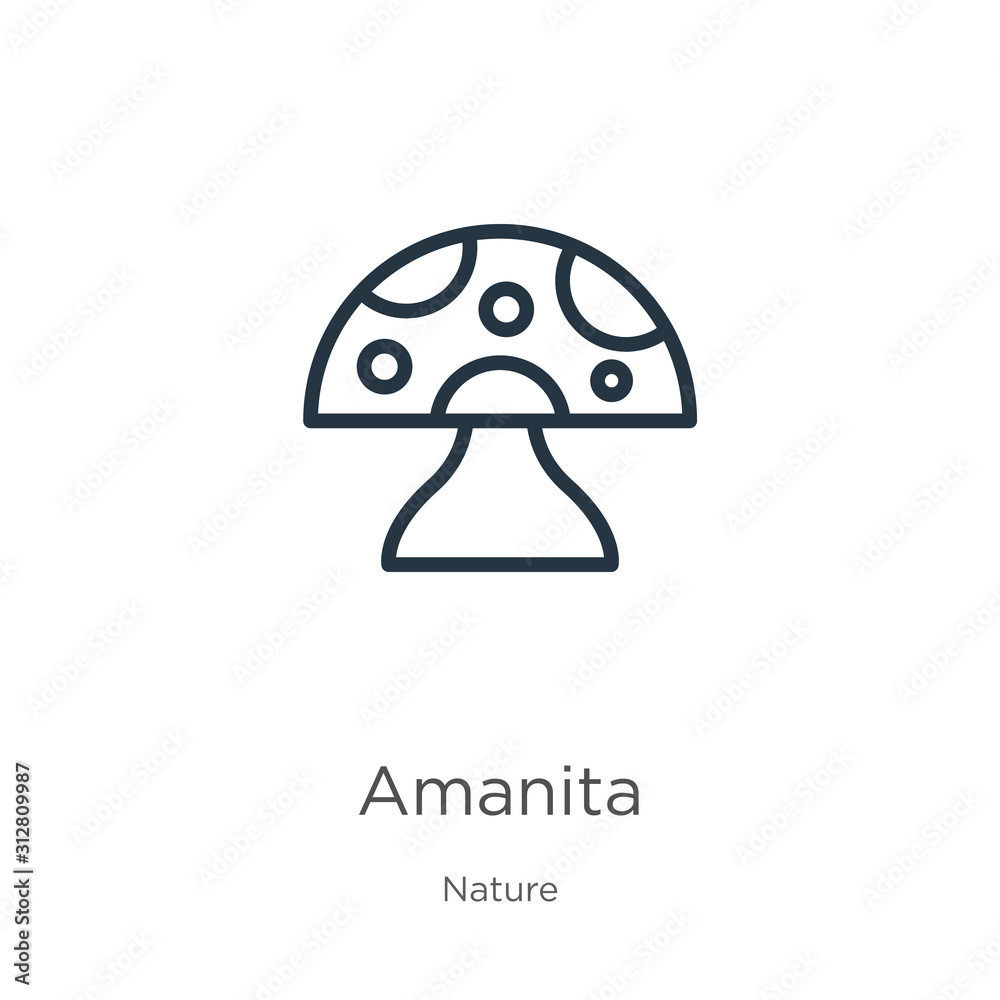Amanita icon. Thin linear amanita outline icon isolated on white background from nature collection. Line vector sign, symbol for web and mobile Amanita icon. Thin linear amanita outline icon isolated on white background from nature collection. Line vector sign, symbol for web and mobile