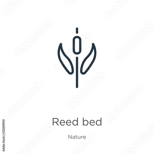 Reed bed icon. Thin linear reed bed outline icon isolated on white background from nature collection. Line vector sign, symbol for web and mobile