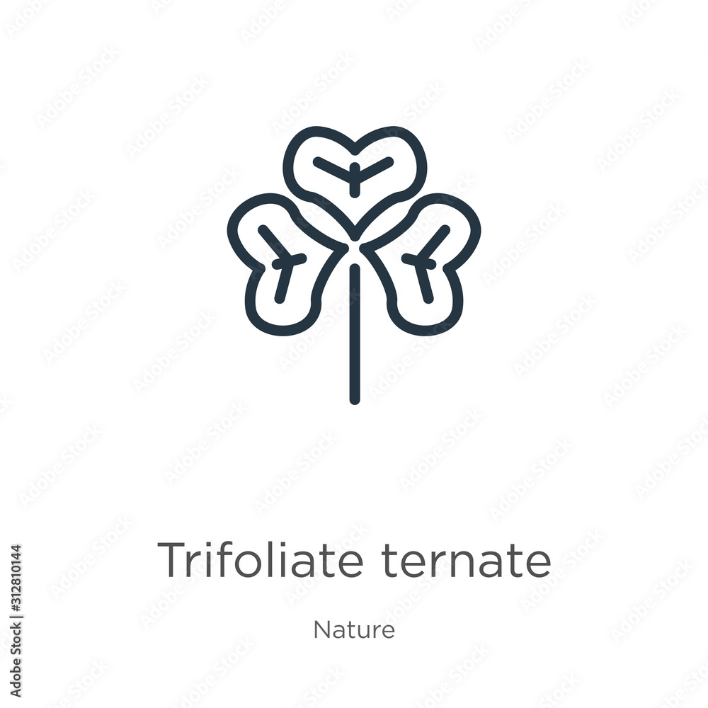 Trifoliate ternate icon. Thin linear trifoliate ternate outline icon isolated on white background from nature collection. Line vector sign, symbol for web and mobile Trifoliate ternate icon. Thin linear trifoliate ternate outline icon isolated on white background from nature collection. Line vector sign, symbol for web and mobile