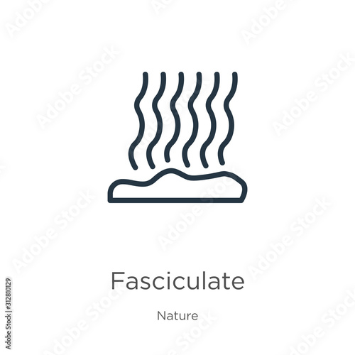 Fasciculate icon. Thin linear fasciculate outline icon isolated on white background from nature collection. Line vector sign, symbol for web and mobile photo