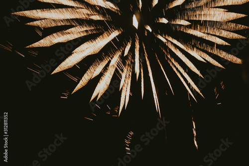 fireworks in the night sky photo